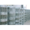 Grass Land Fence/Cattle Fence/Farm Fence/Field Fence/ Fence Netting